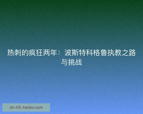 热刺的疯狂两年：波斯特科格鲁执教之路与挑战